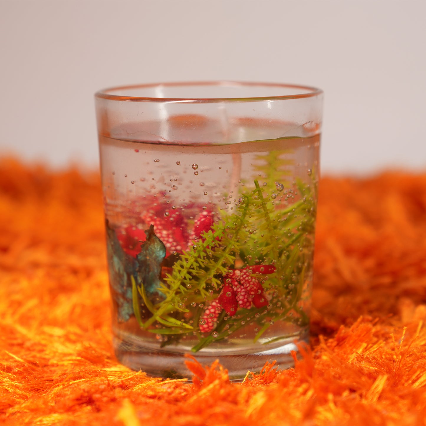 Fern & Flora – Nature’s Glow