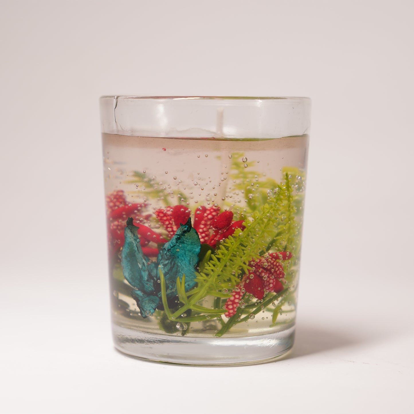 Fern & Flora – Nature’s Glow